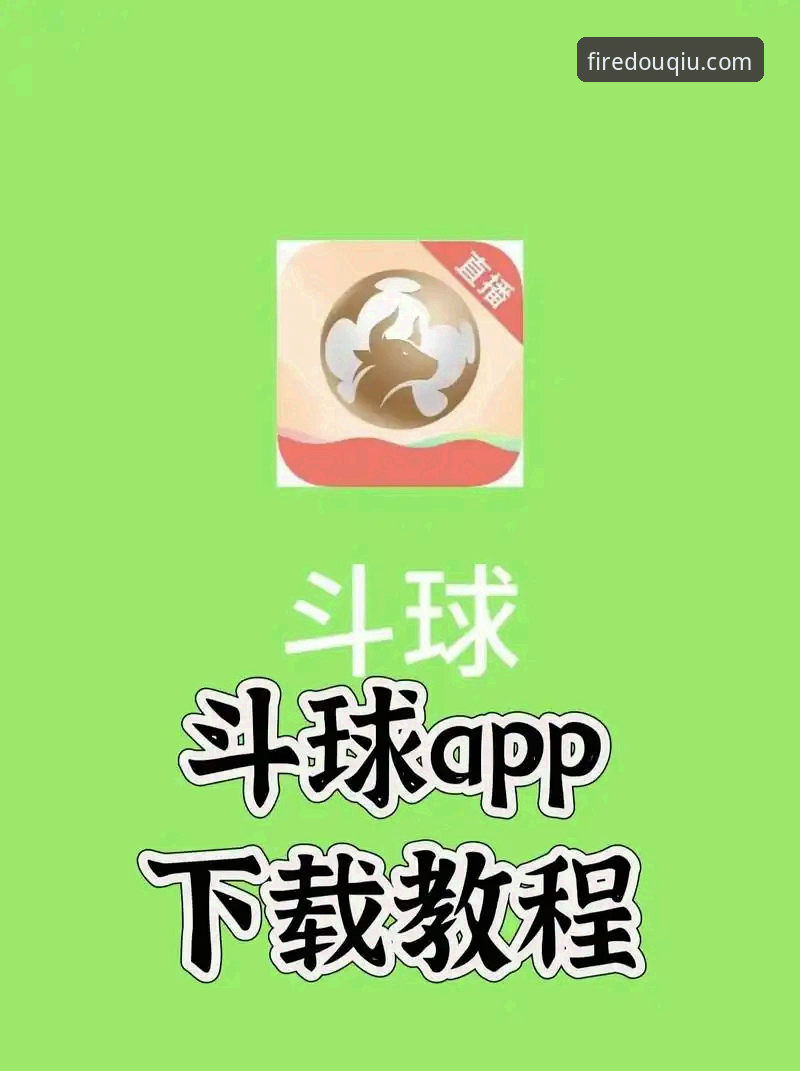 斗球D7K9安卓版 斗球D7K9安卓版使用体验详解